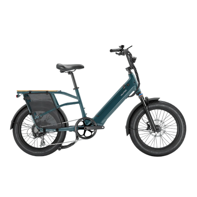 velotricgo1WB.png